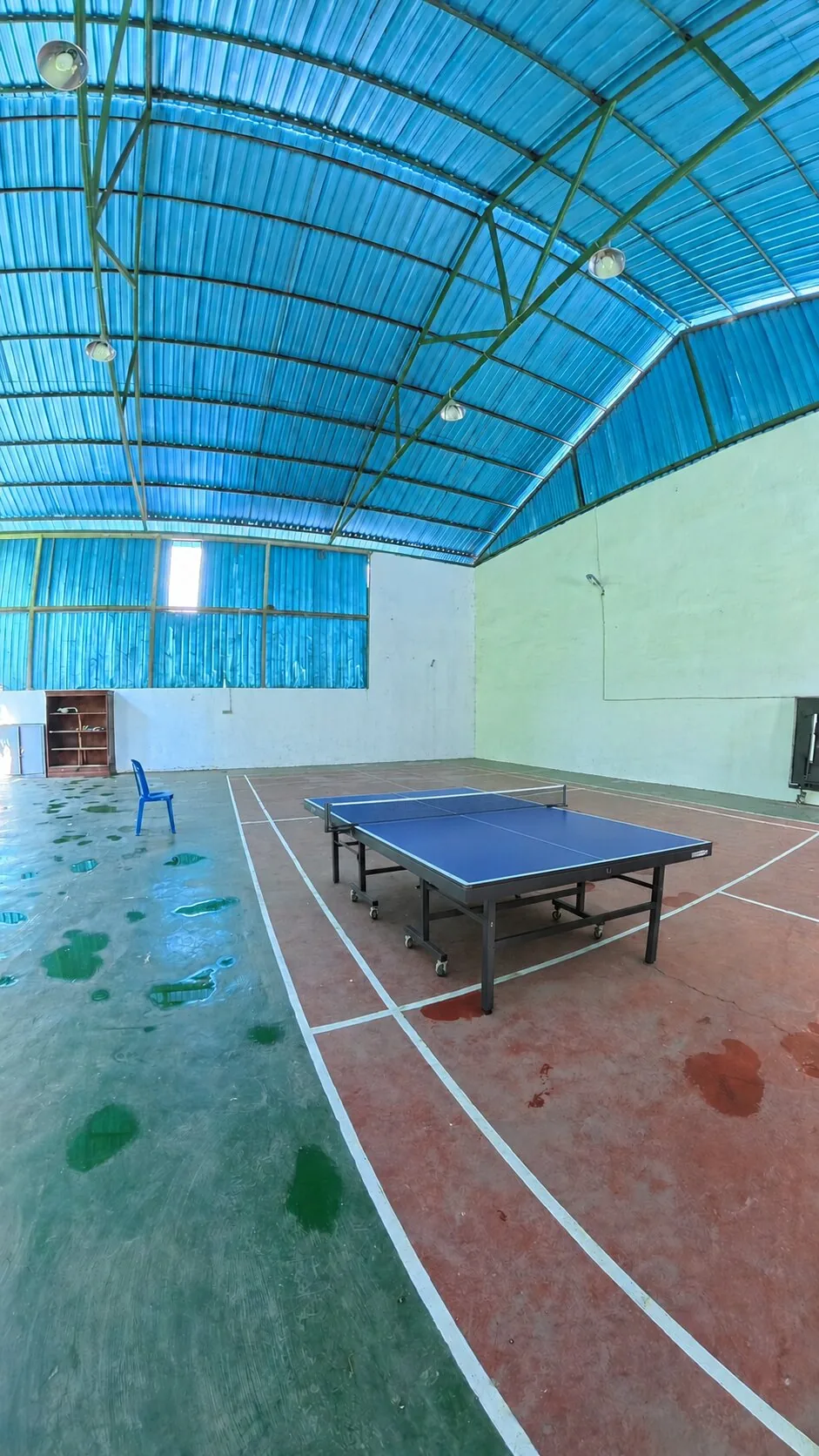 Tenis Meja